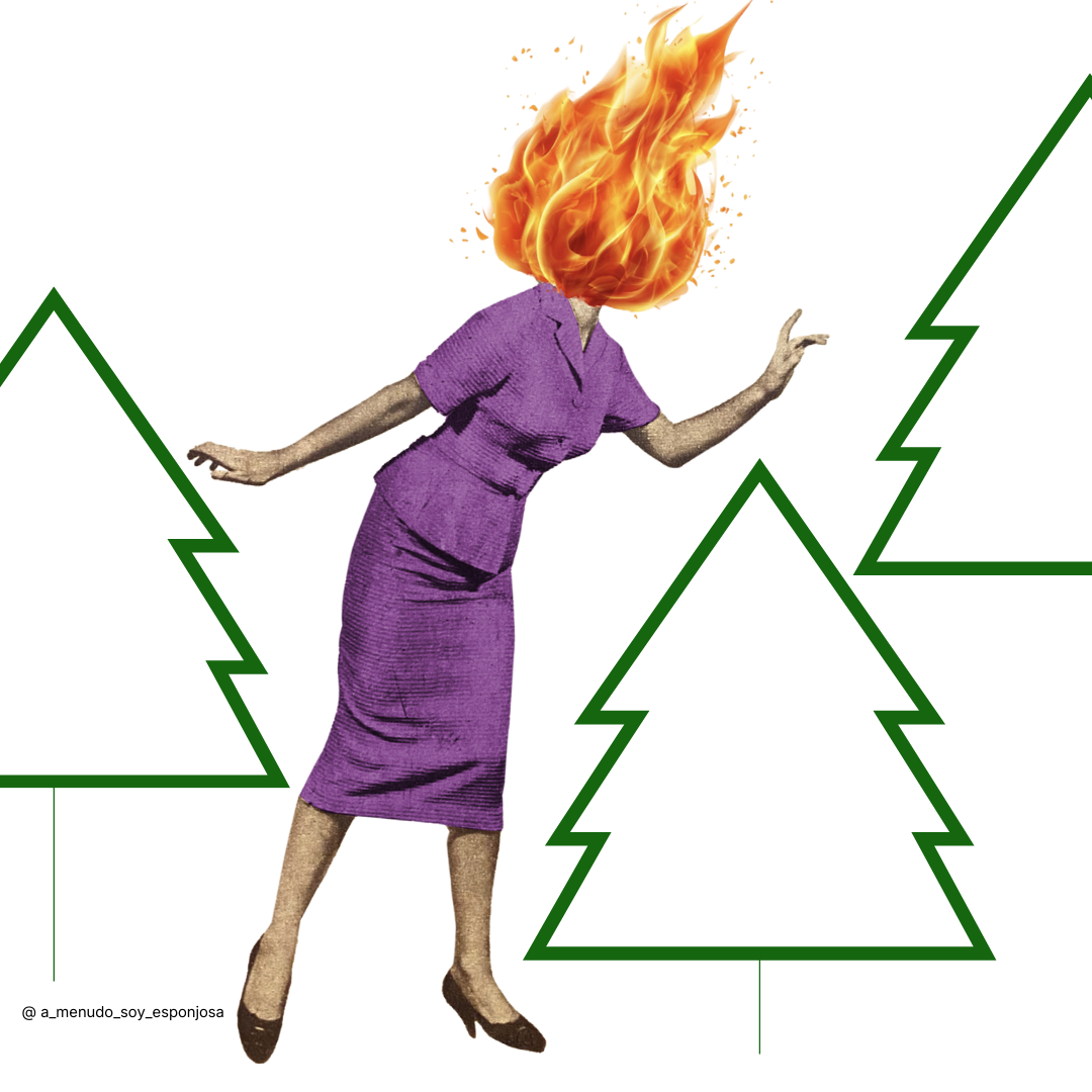 Feministas Aguafiestas: Manual de supervivencia en Navidad